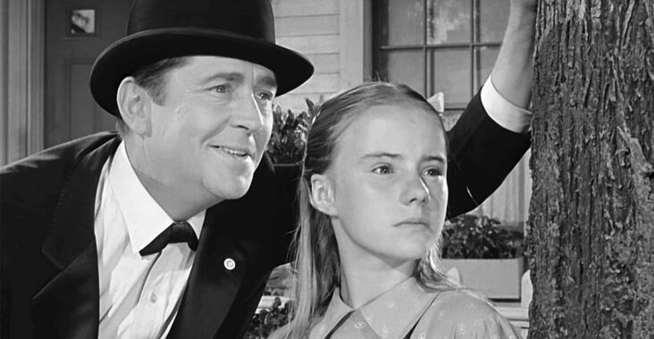 Drzewko na Brooklynie