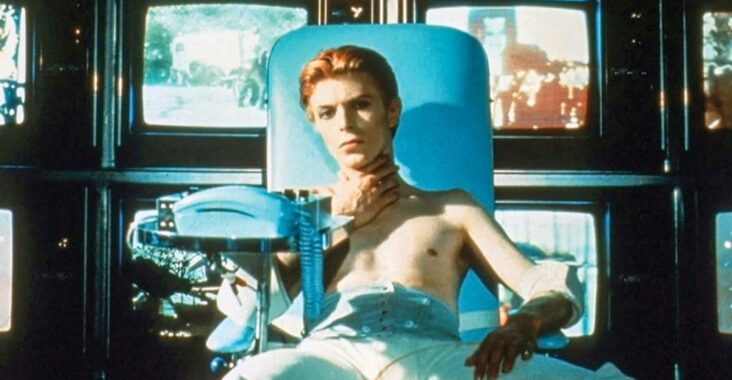 Człowiek, który spadł na ziemię