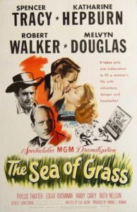 sea of grass - morze traw 