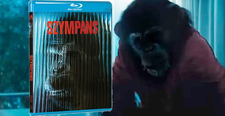 Szympans już na Blu-Ray!
