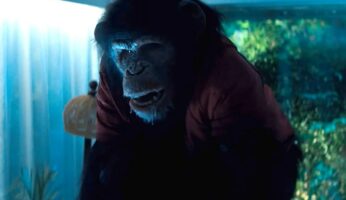 Szympans - Primate - film recenzja